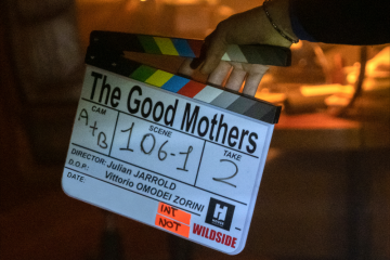 THE GOOD MOTHERS